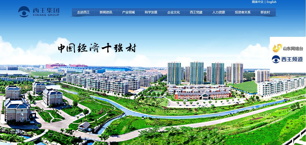 西王集团 西王集团